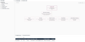 org.manager 5 struktury organizacyjne w SAP
